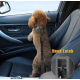 Gürtel Sicherheit Hund einstellbar und elastisch für Auto