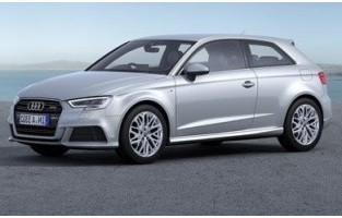 Maßgeschneiderter Kofferbausatz für Audi A3 8V Hatchback (2013-2020)