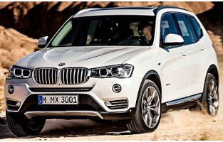 Graue Automatten BMW X3 F25 (2010 - 2017)