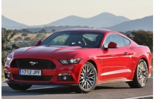 Luxuriöse, Doppellagige, Auto-Fußmatte Für Ford Für Mustang 2011