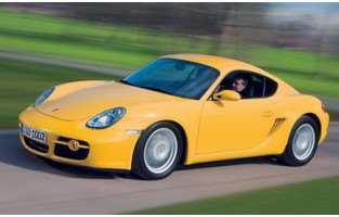 Set Scheibenwischerreinigung Porsche Cayman 987C (2005 - 2009) - Neovision®