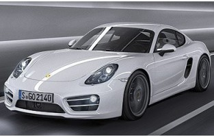 Set Scheibenwischerreinigung Porsche Cayman 981C (2013 - 2016) - Neovision®