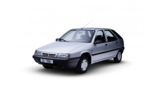 Graue Automatten Citroen ZX