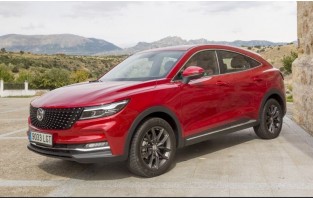 Fußmatten Sport Line für DFSK 5/F5 (2020 - )