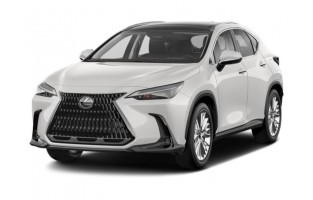 Fußmatten Graphit Lexus NX (2022 - )