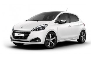Set Scheibenwischerreinigung Peugeot 208 (2012-2019) - Neovision®