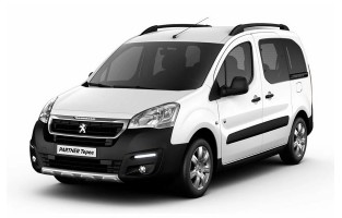 Exklusive Automatten Peugeot Tepee